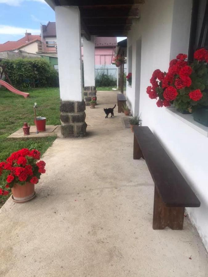 Oncsa Vendeghaz Ξενοδοχείο Gyöngyös Εξωτερικό φωτογραφία